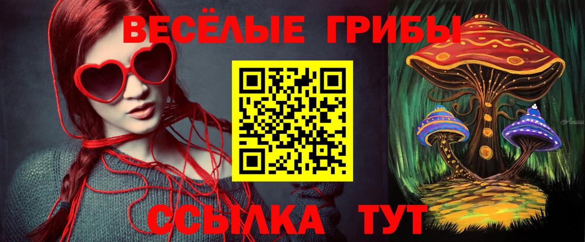 Галлюциногенные грибы Cubensis  Вход с VPN  Воткинск  Псилоцибиновые грибы GOLDEN TEACHER 