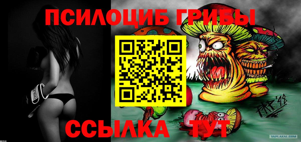 Галлюциногенные грибы прущие грибы Воткинск